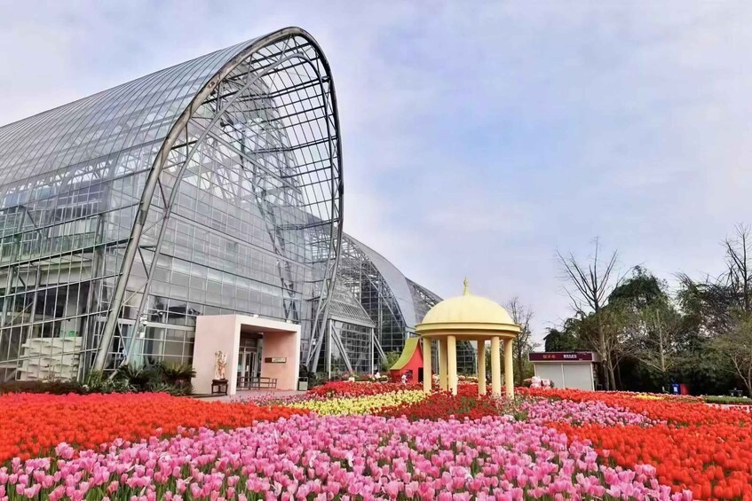 A greenhouse with a curved glass facade and a yellow pavilion amidst a field of pink and red tulips. 4