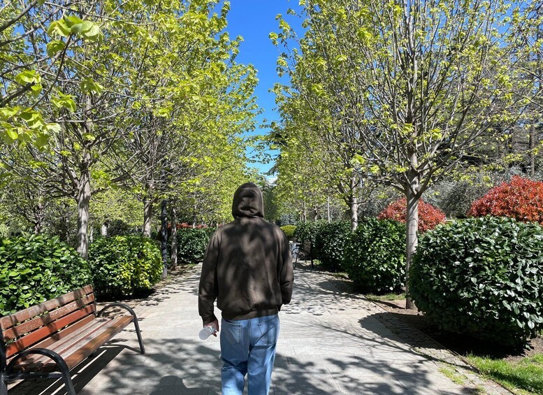 A person walking on a tree-lined path with benches and lush greenery. 4