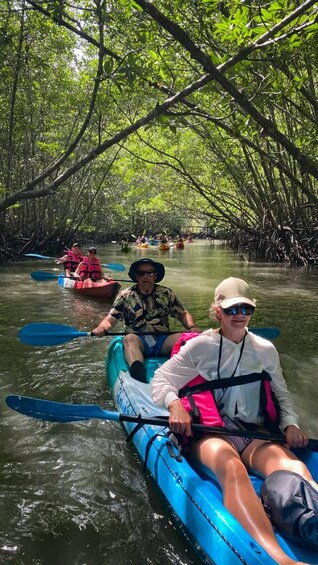 People kayaking through a mangrove forest. 4