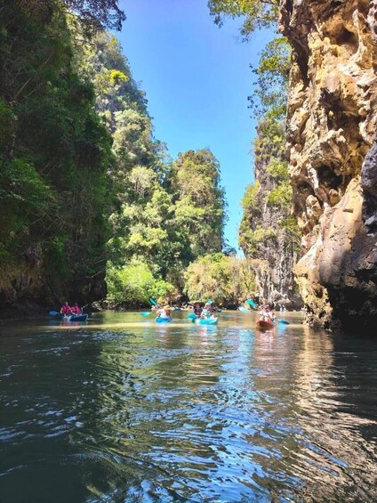 People kayaking on a river surrounded by cliffs and dense foliage. 1