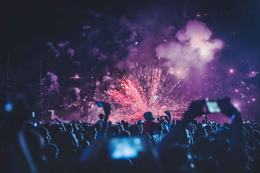 A crowd at a concert with fireworks in the background. 2