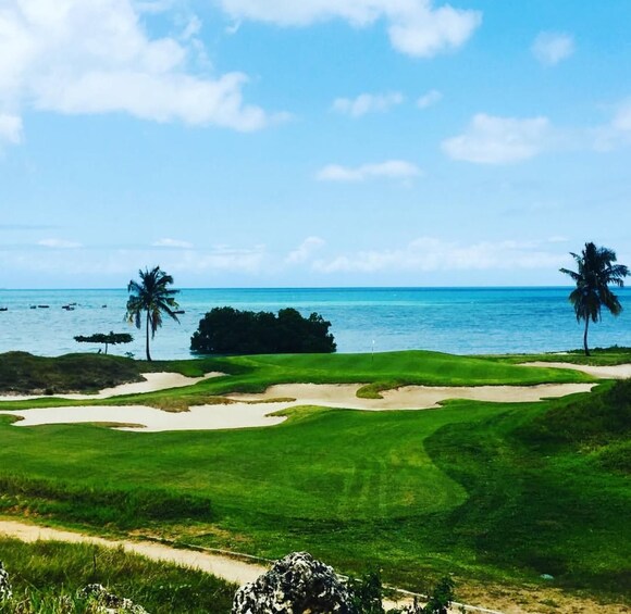 A golf course with sand bunkers, palm trees, and a view of the ocean. 4