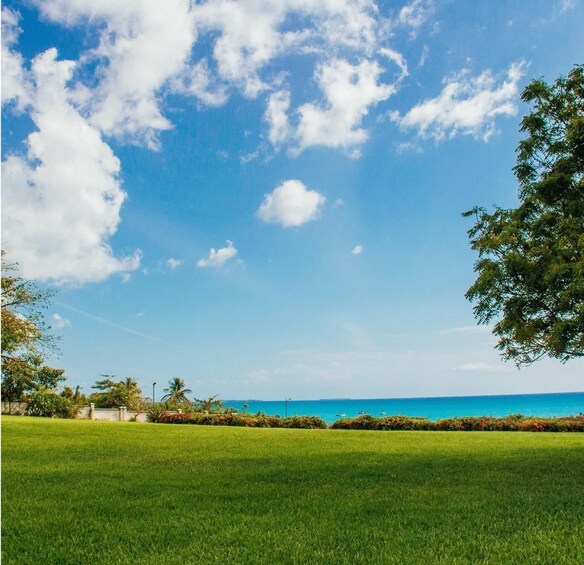 A grassy field, a clear blue sky with clouds, and a distant view of the ocean. 3
