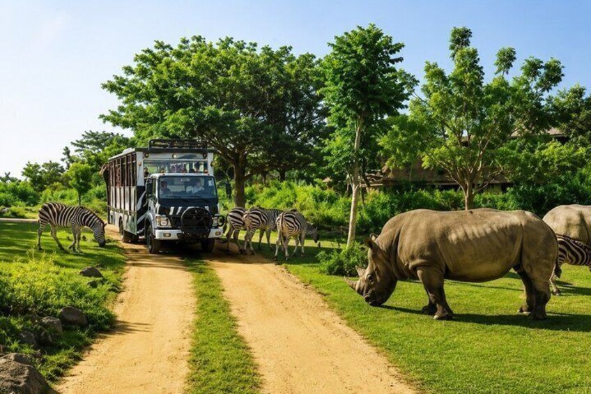 A safari vehicle, zebras, and rhinos on a dirt path with trees in the background. 5