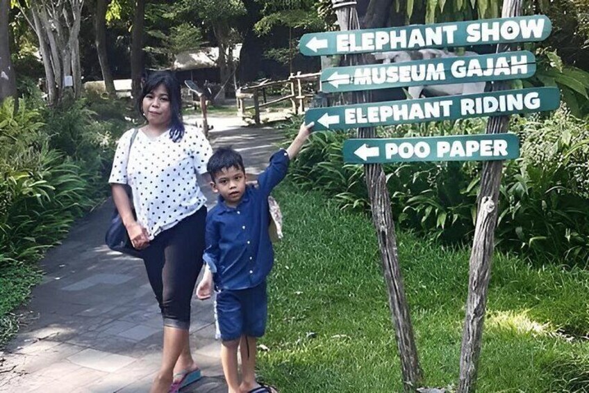 Bali Safari Journey Experience 2