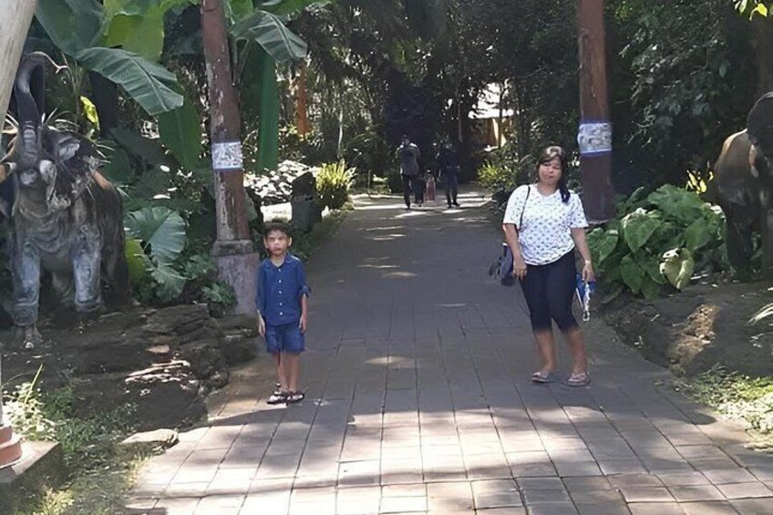 A paved pathway, a statue, and lush greenery. 2