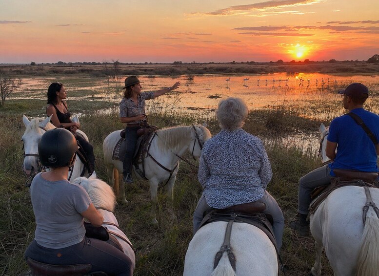 A sunset over a wetland with people on horseback. 5