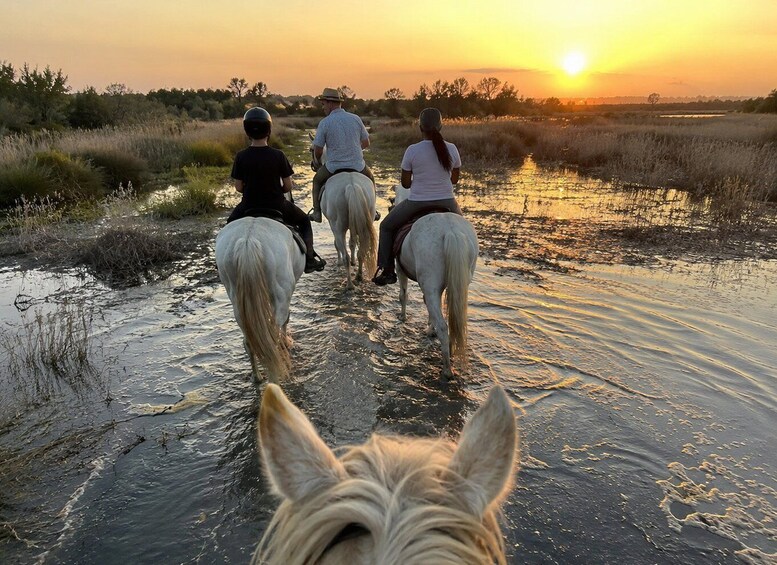 Three people horseback riding along a waterlogged path during sunset. 2