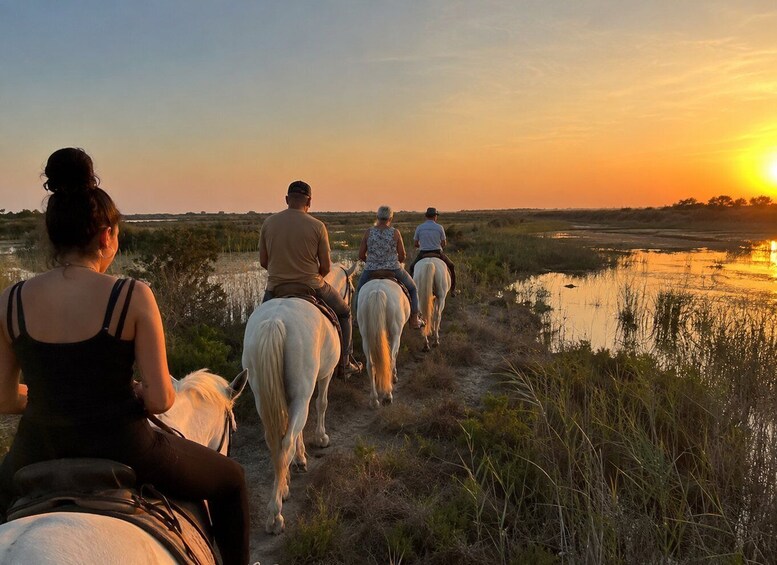 A sunset over a marshy landscape with people horseback riding along a path. 1