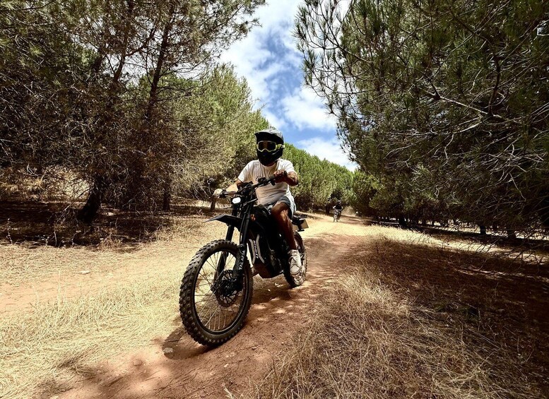 A person riding a mountain bike on a dirt trail surrounded by trees. 1