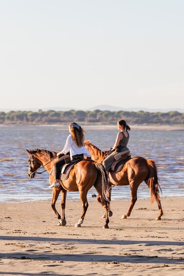 Two people riding horses along a beach with water and trees in the background. 5