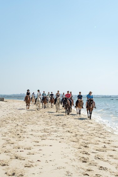 A group of people riding horses along a sandy beach with the ocean in the background. 2