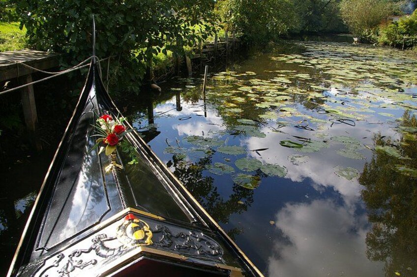 A narrowboat on a calm river with lily pads and greenery around. 5