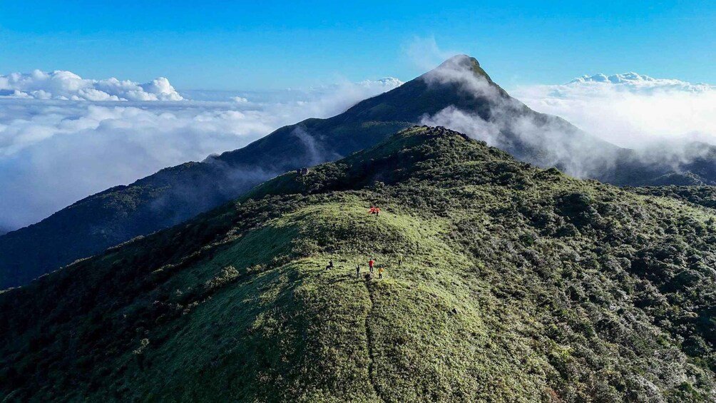 A mountain peak with lush greenery and a clear sky. 3