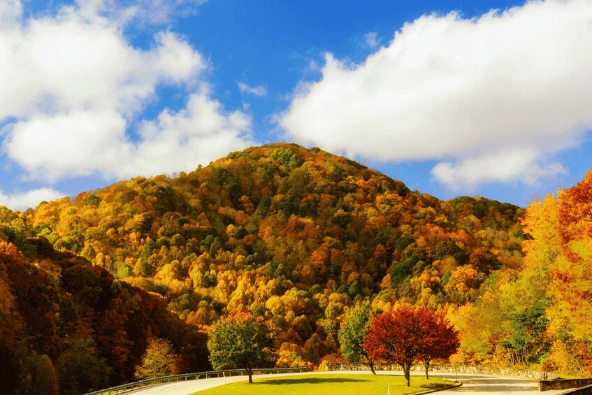 A mountain with autumn foliage, a clear sky, and a paved path. 1