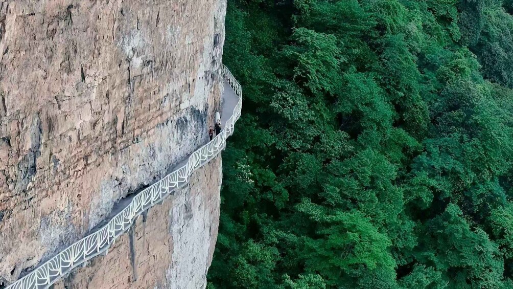 A suspension bridge with a metal railing, spanning a deep canyon with dense green forest on either side. 4