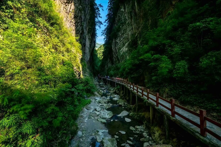A narrow canyon with a river, dense greenery, and a wooden bridge. 3