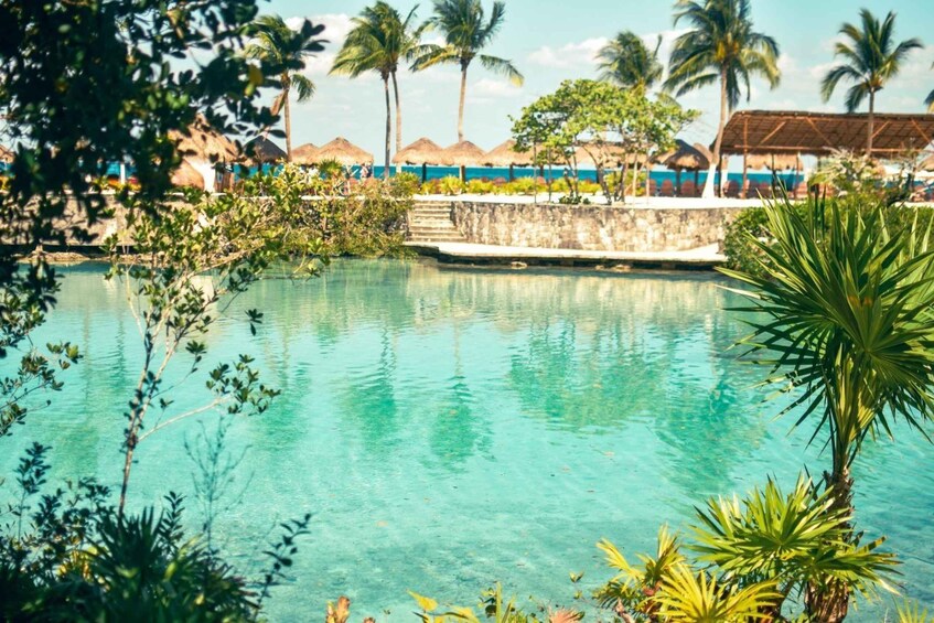A clear pool surrounded by tropical vegetation and palm trees. 3