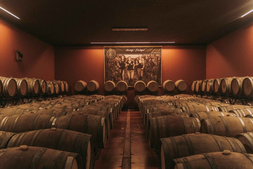 A wine cellar with rows of wooden barrels and a poster of women on the wall. 2