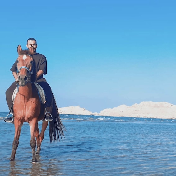 A person riding a horse in shallow water with a clear sky and distant ice formations. 1