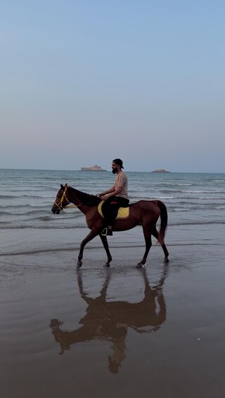 A person riding a horse along a beach with the sea in the background. 3