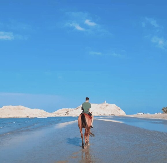 A person riding a horse on a beach with white sand dunes and a clear blue sky. 3