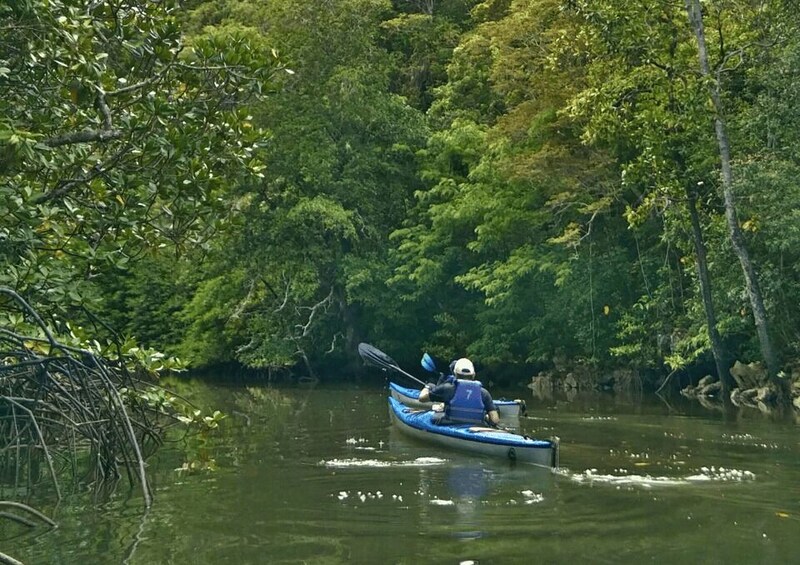A person kayaking on a river surrounded by dense forest. 4