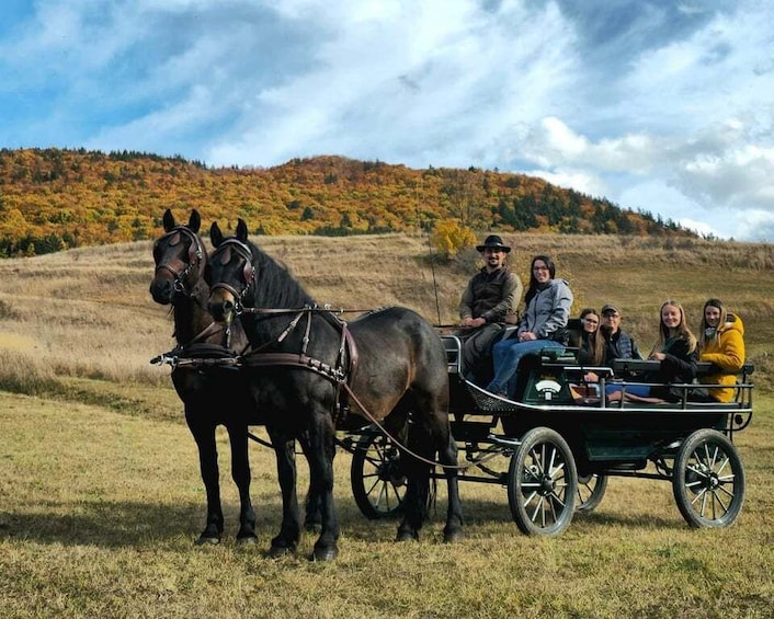 A horse-drawn carriage with people on a grassy field with autumn trees in the background. 5