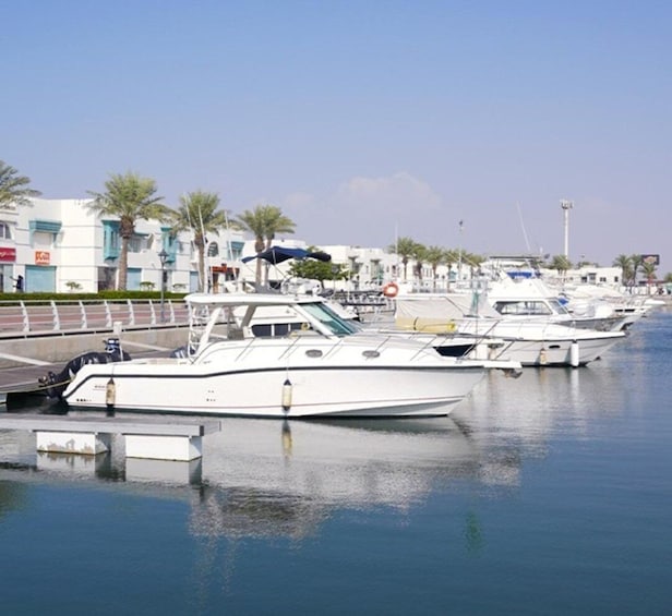 A marina with several white yachts docked, palm trees, and buildings in the background. 5