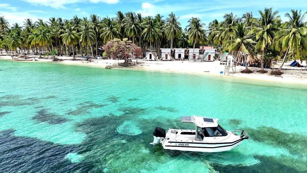 A boat named 'ST. ARI' on clear turquoise water, a sandy beach, and a row of palm trees. 1