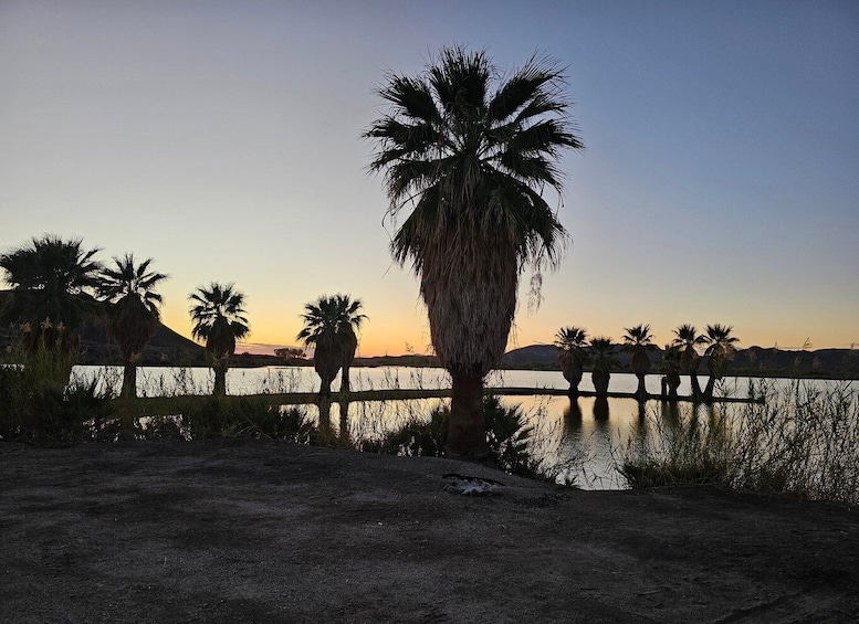 A sunset over a calm lake with palm trees and a wooden pier. 5