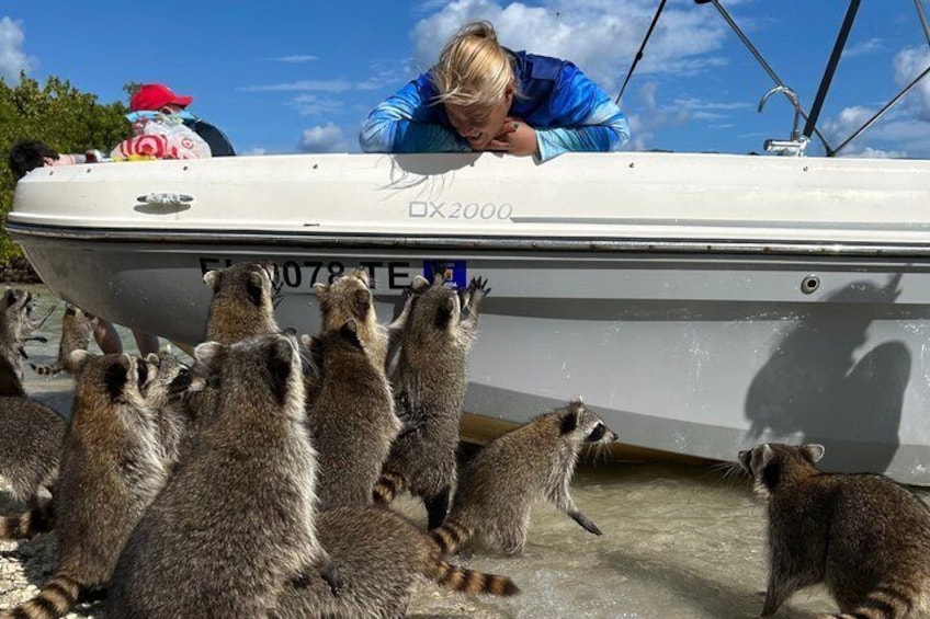 A boat with raccoons on the dock. 1