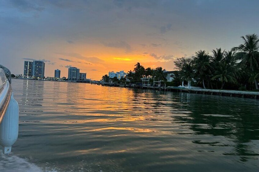 Miami Raccoon Island Wildlife Boat Tour with Captain and Photos 2