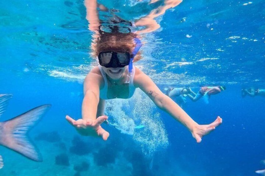 A person swimming underwater with fins and goggles. 3