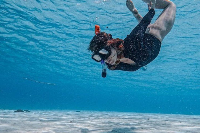 A person scuba diving underwater. 2