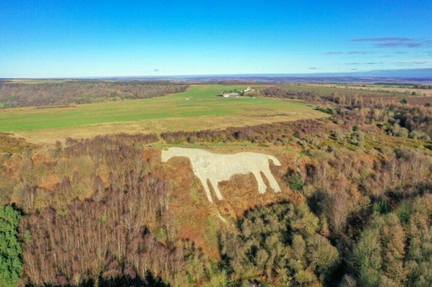 A large white horse-shaped earthwork in a rural landscape with fields and forested areas. 5