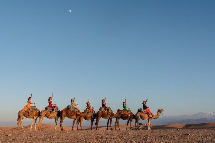 A group of camels with riders in a desert landscape. 2