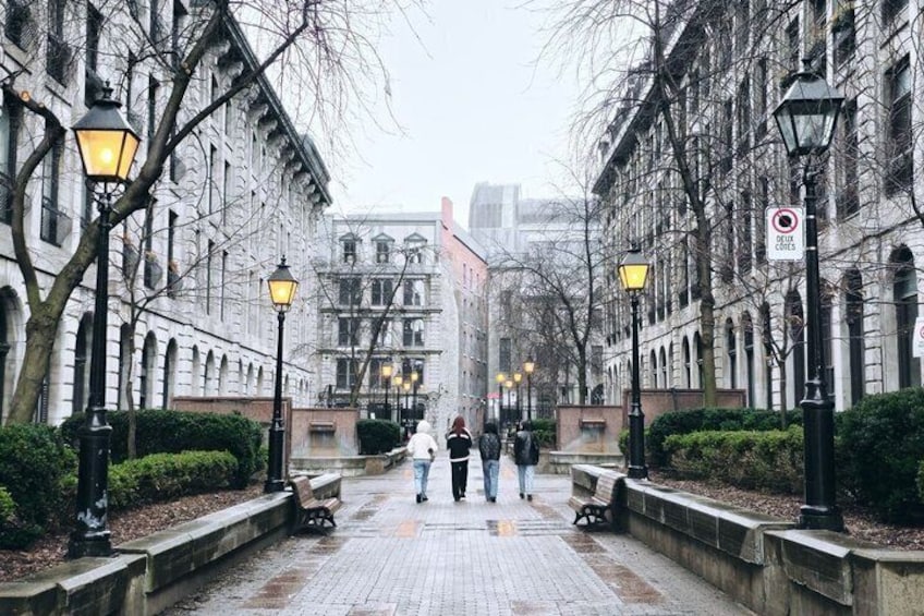 A pedestrian street lined with historic buildings, trees, and street lamps. 1