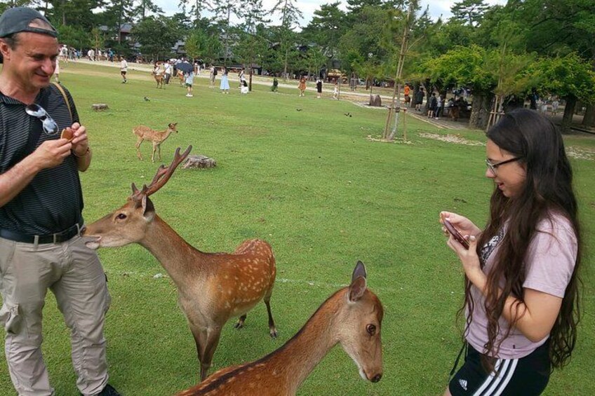 Nara Local Food and Sake Private Tour with Licensed Guide 5