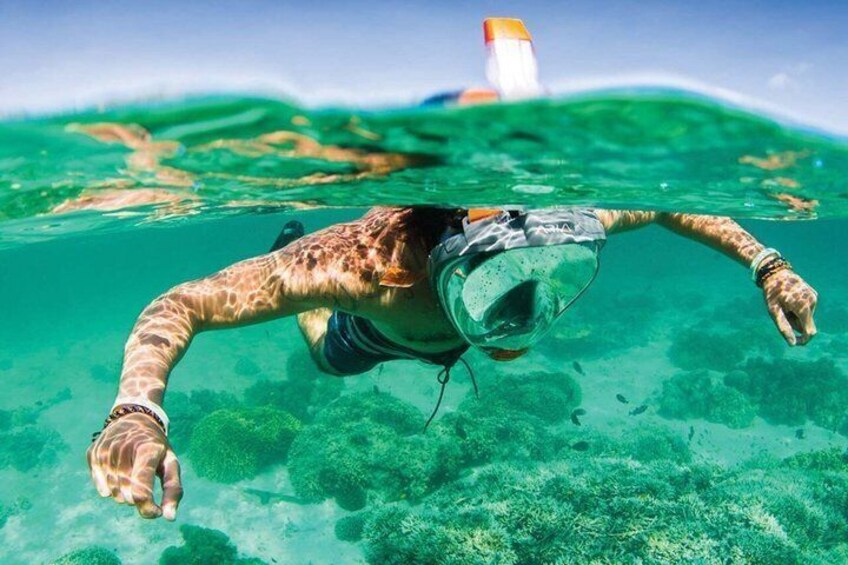A person snorkeling underwater with a snorkel and mask. 4