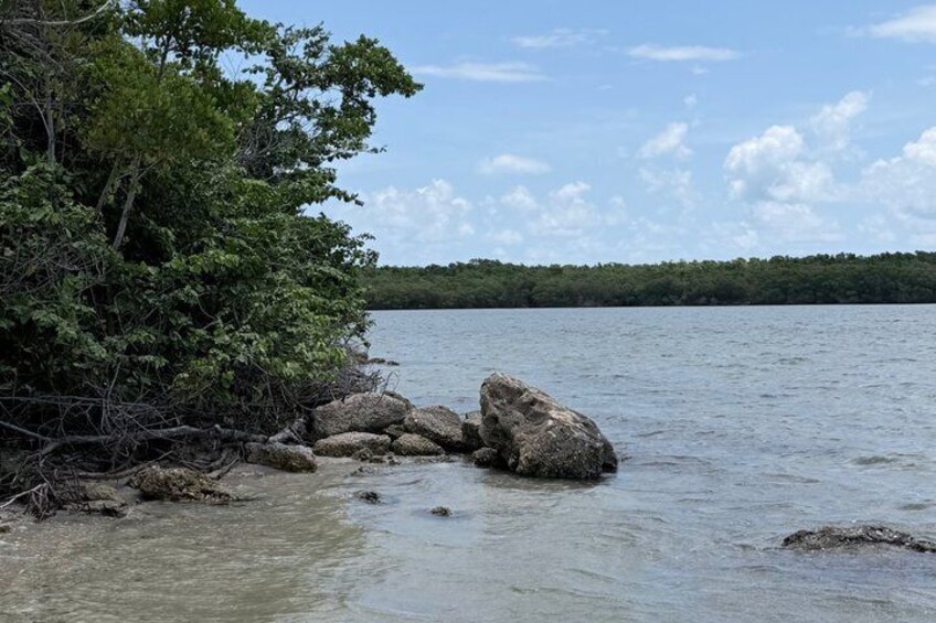A calm lake with rocks and dense greenery along the shore. 2