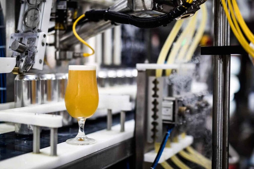 A glass of beer on a conveyor belt in a brewery. 5