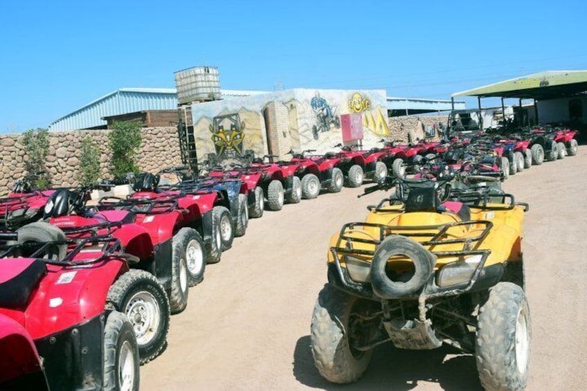 A row of ATVs parked outdoors with a mural in the background. 3