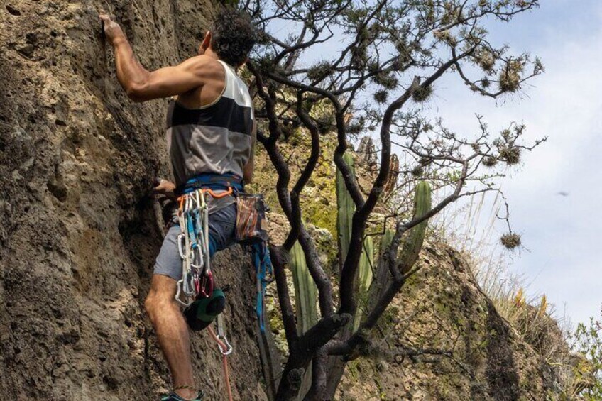 A person climbing a rocky cliff with a cactus in the background. 4