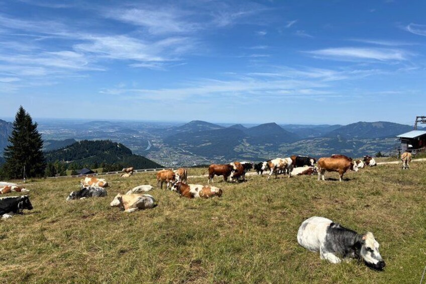 Private gourmet tour from Chiemgau to Berchtesgadener Land 2