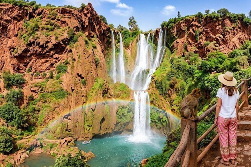 A waterfall, a rainbow, and a monkey. 5