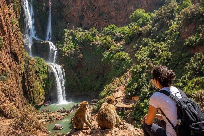 A waterfall, a person with a backpack, and two monkeys on a rocky ledge. 4