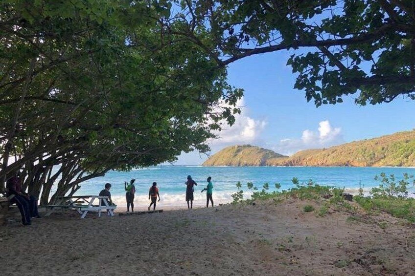 A beach with people walking, a tree providing shade, and a view of the ocean and hills in the background. 2