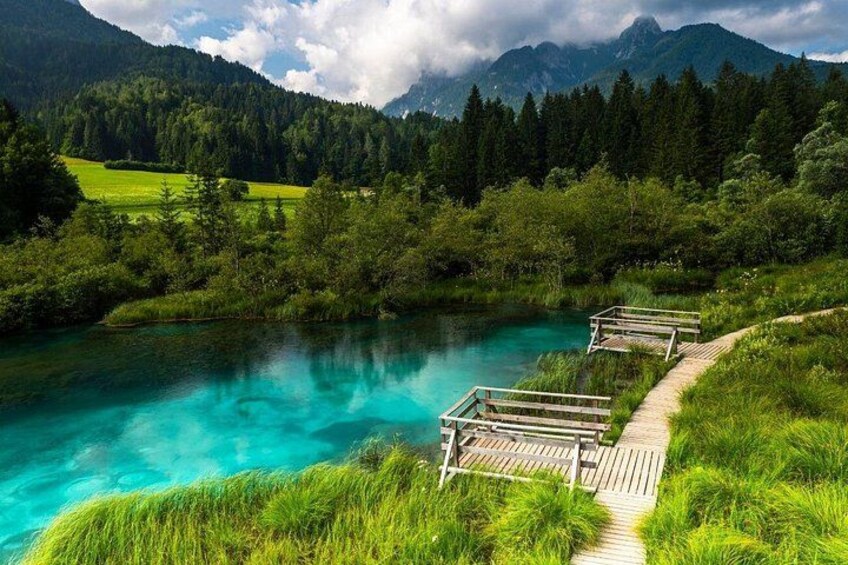 Zelenci Nature Reserve 5