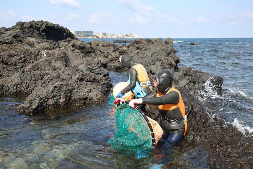 Two people in waders near rocky coastline, one holding a net. 1